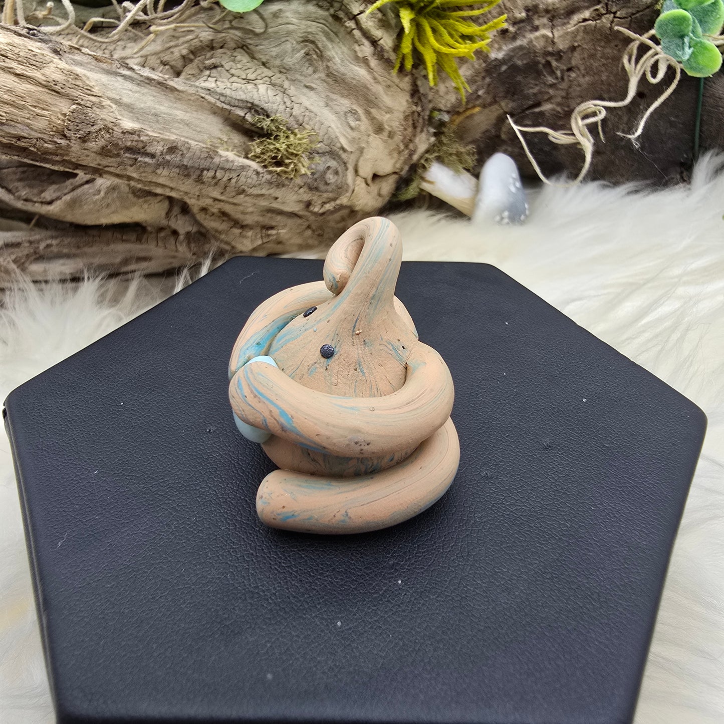 Beach Storm Roogoo (D)